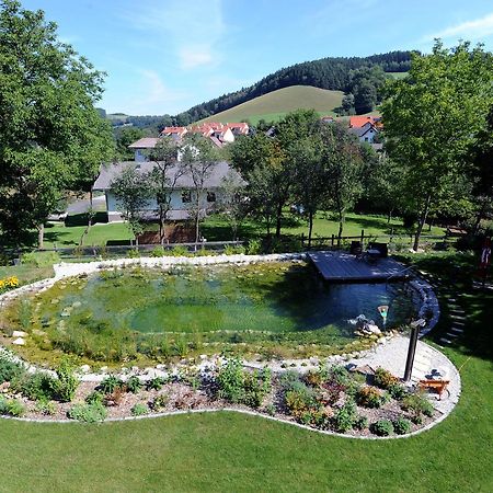 Hotel Geier Bad Schonau Exterior photo