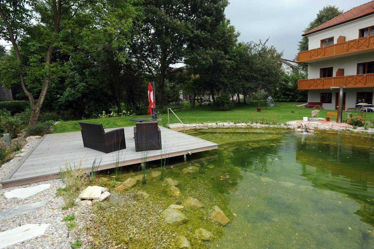 Hotel Geier Bad Schonau Exterior photo